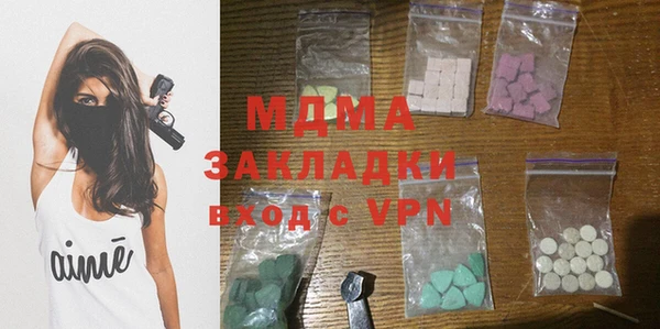 индика Алексин