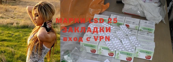 PSILOCYBIN Алзамай
