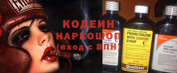 индика Алексин